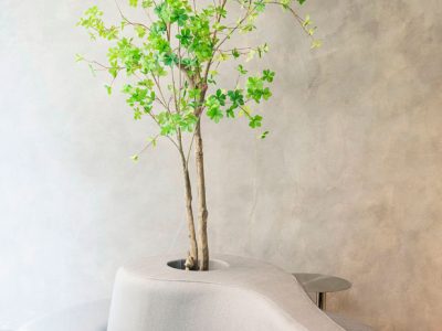 grassoler-proyecto-custom-corehaus-galeria 1